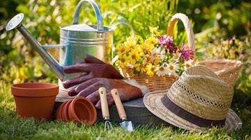 Equipo de jardineria