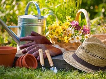 Equipo de jardineria